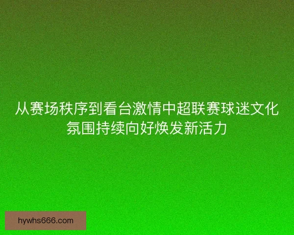 从赛场秩序到看台激情中超联赛球迷文化氛围持续向好焕发新活力