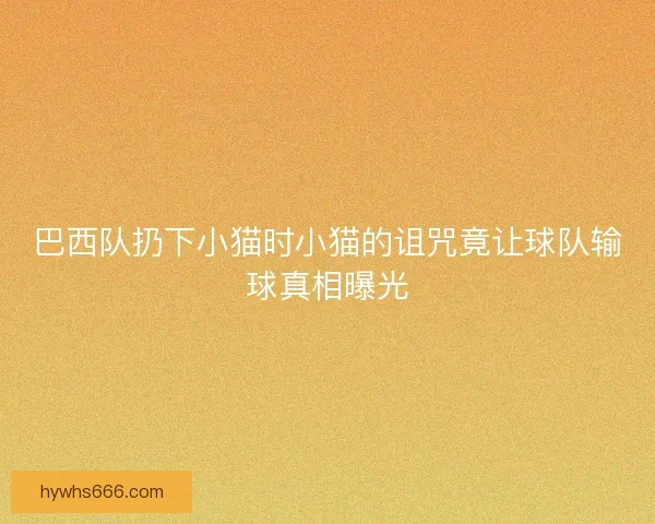 巴西队扔下小猫时小猫的诅咒竟让球队输球真相曝光